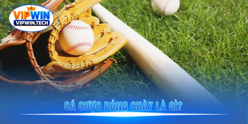 Giới thiệu sơ lược về hình thức cá cược bóng chày Giới thiệu sơ lược về hình thức cá cược bóng chày