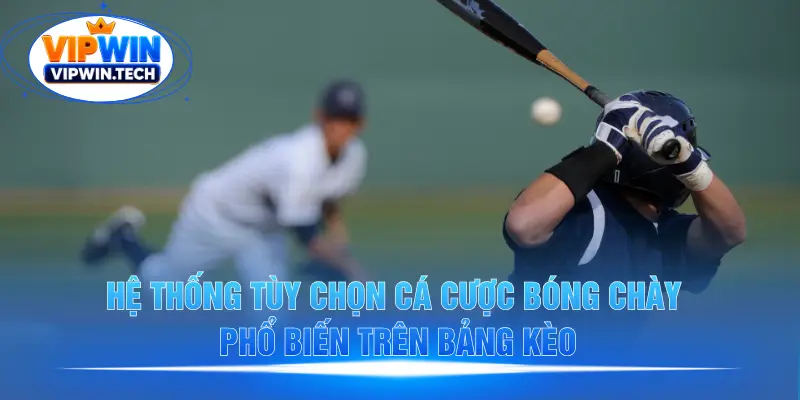 Các loại kèo cá cược bóng chày phổ biến tại VIPWIN Các loại kèo cá cược bóng chày phổ biến tại VIPWIN